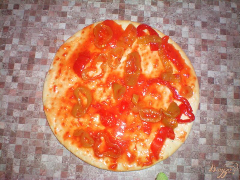 Фото приготовление рецепта: Пицца с моцареллой шаг №1