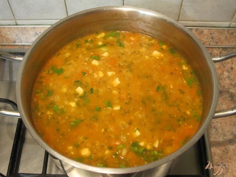 Фото приготовление рецепта: Ароматный суп-харчо шаг №10