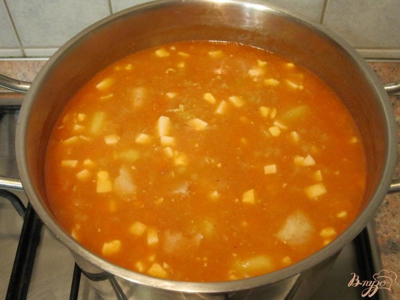 Фото приготовление рецепта: Ароматный суп-харчо шаг №9