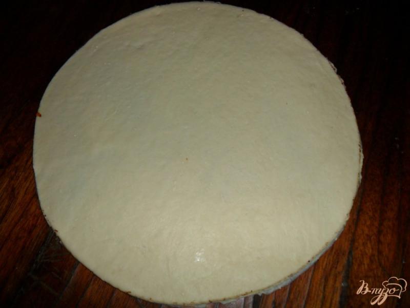 Фото приготовление рецепта: Пицца с жаренным луком шаг №7