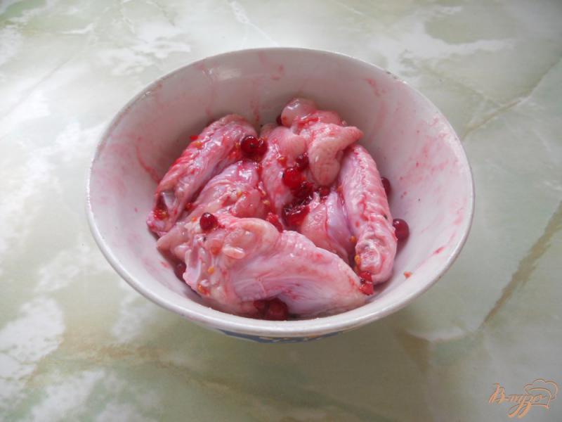 Фото приготовление рецепта: Куриные крылышки на мангале. Маринад с красной смородиной шаг №3