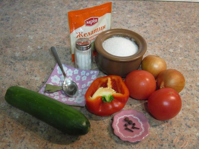 Фото приготовление рецепта: Заливное «Мозаика из овощей» шаг №1