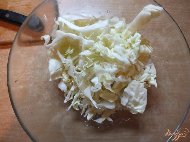 Фото приготовление рецепта: Салат капустный с клюквой шаг №1