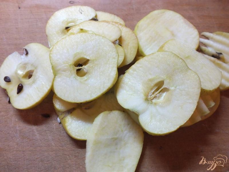 Фото приготовление рецепта: Сушеные яблоки с корицей и гвоздикой в духовке шаг №1