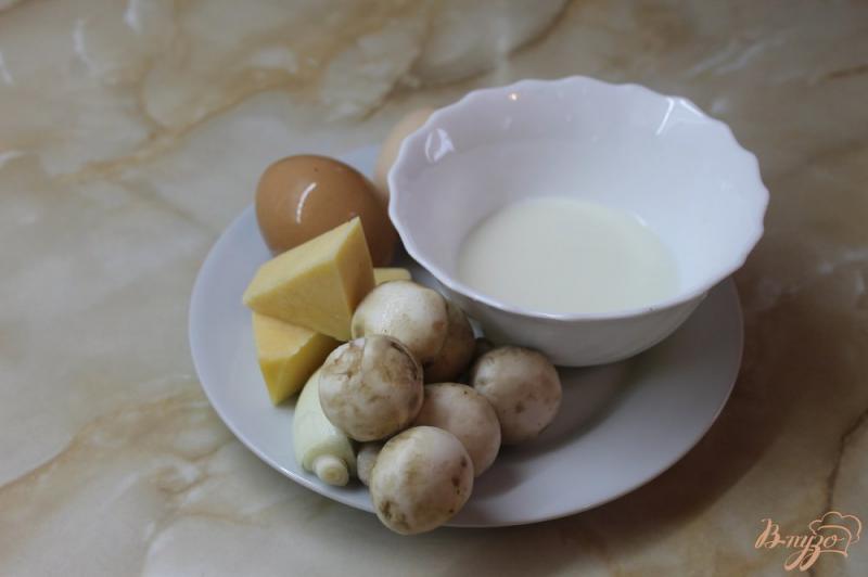 Фото приготовление рецепта: Куриный омлет с твердым сыром фаршированный грибами с луком шаг №1