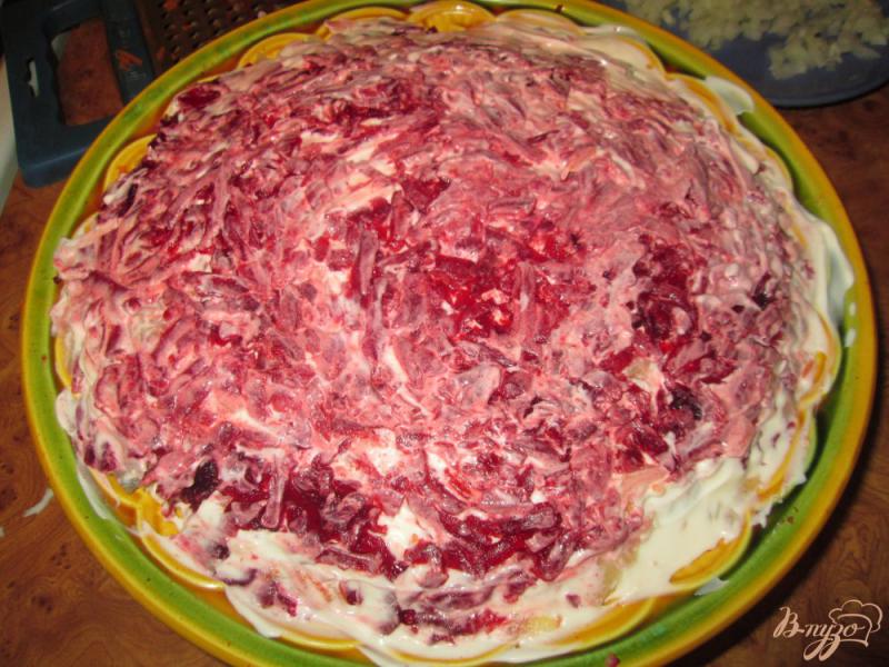 Фото приготовление рецепта: Слоеный салат с сельдью и свеклой шаг №9