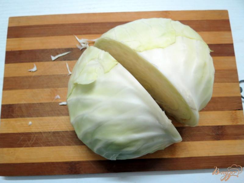 Фото приготовление рецепта: Салат из капусты с фруктами шаг №1