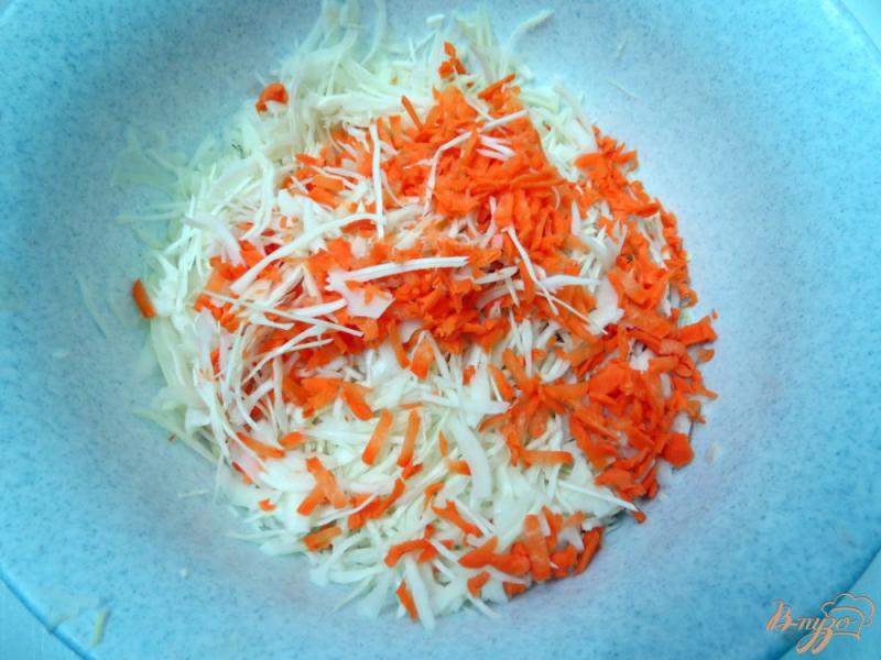 Фото приготовление рецепта: Салат из капусты с фруктами шаг №2