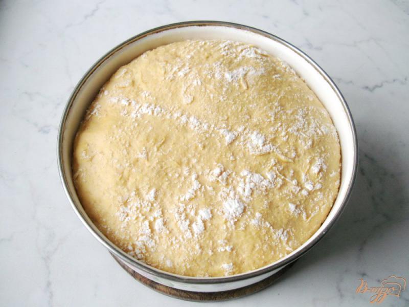 Фото приготовление рецепта: Дрожжевое тесто с тыквой и изделия из него. шаг №6