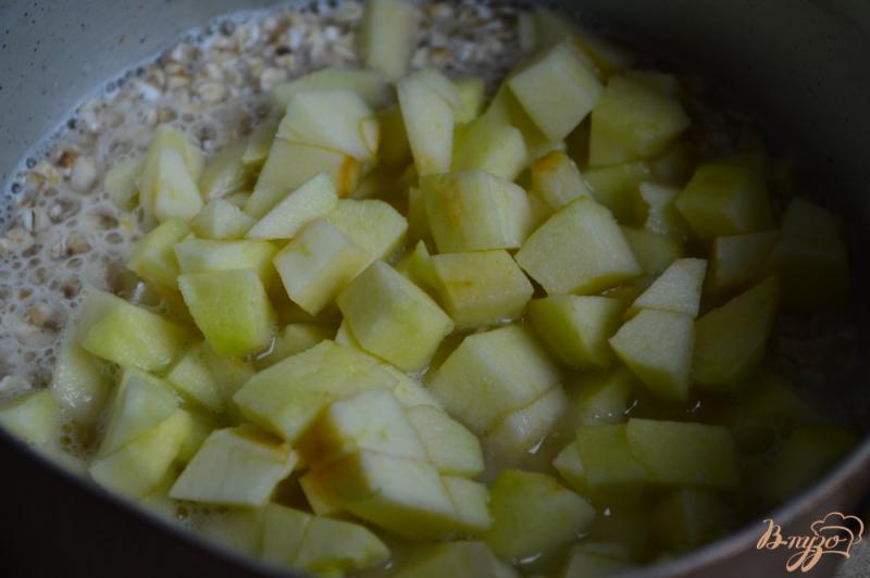 Фото приготовление рецепта: Овсяная каша с яблоком шаг №2
