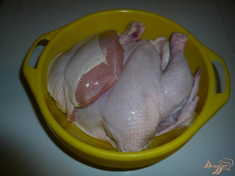 Фото приготовление рецепта: Сальтисон из курицы шаг №1