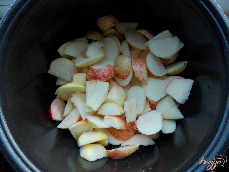 Фото приготовление рецепта: Мармелад из яблок шаг №1