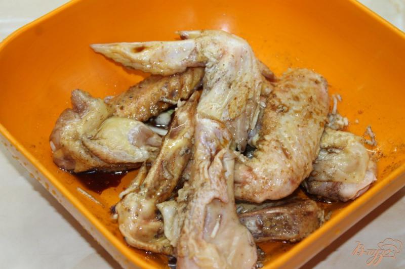 Фото приготовление рецепта: Куриные крылья к пиву с паприкой шаг №2