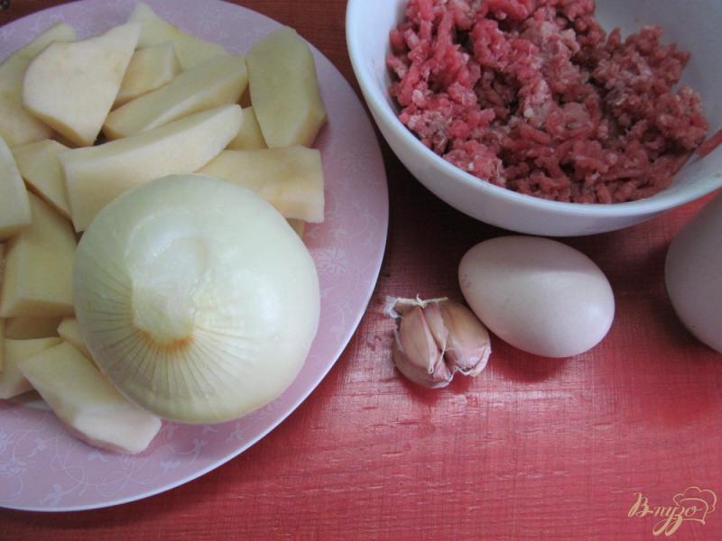 Фото приготовление рецепта: Фрикадельки с картофелем в духовке шаг №1