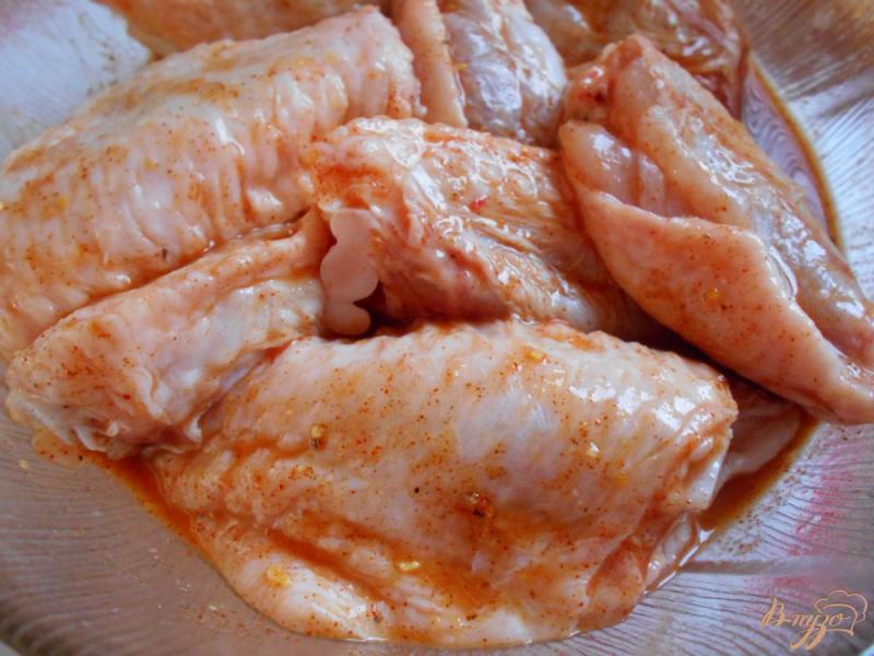Фото приготовление рецепта: Куриные крылышки в оригинальном маринаде шаг №3