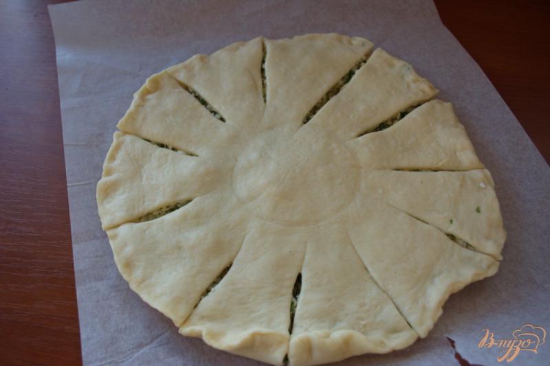 Фото приготовление рецепта: Дрожжевой пирог с брынзой шаг №8
