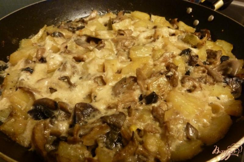 Фото приготовление рецепта: Молодой картофель с грибами,тушенный в молоке шаг №6