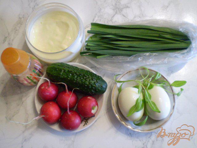 Фото приготовление рецепта: Весенний салат шаг №1