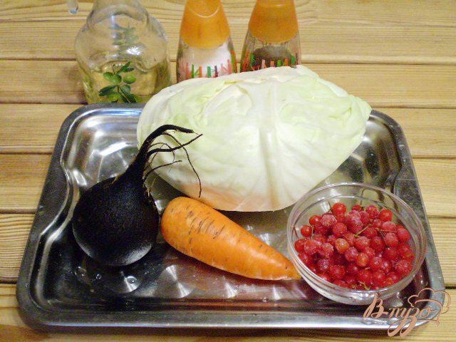 Фото приготовление рецепта: Салат «Витаминный» с капустой и клюквой шаг №1
