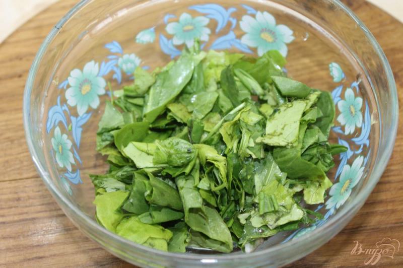 Фото приготовление рецепта: Салат с утиной грудкой и свежими листьями салата шаг №5