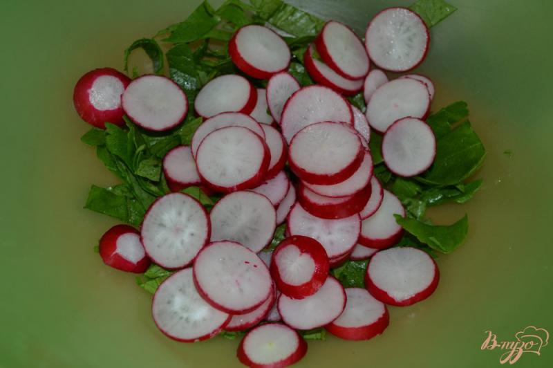 Фото приготовление рецепта: Салат из редиса и зелени шаг №3