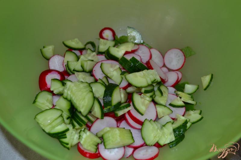 Фото приготовление рецепта: Салат из редиса и зелени шаг №4