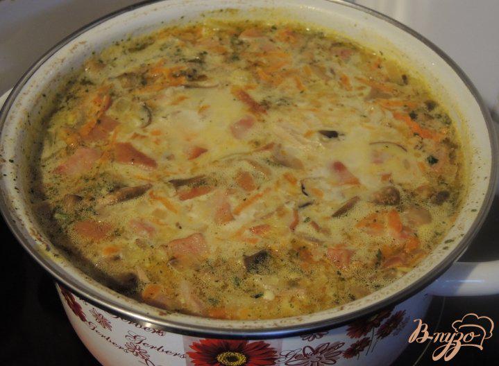 Фото приготовление рецепта: Сырный суп с курицей и грибами шаг №12