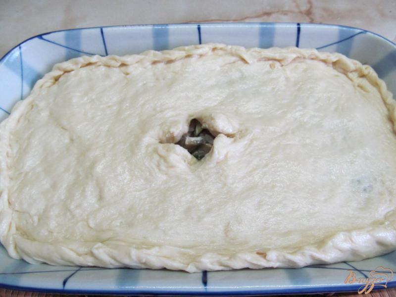 Фото приготовление рецепта: Закрытый пирог с начинкой шаг №13