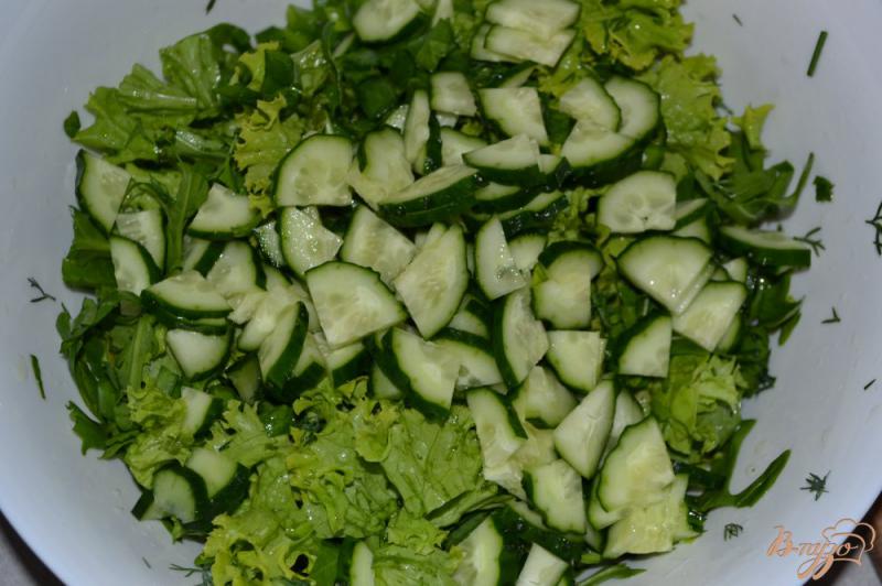 Фото приготовление рецепта: Салат из рукколы, редиса и листьев салата шаг №3