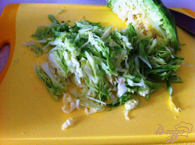 Фото приготовление рецепта: Салат из молодой капусты с овощами шаг №1