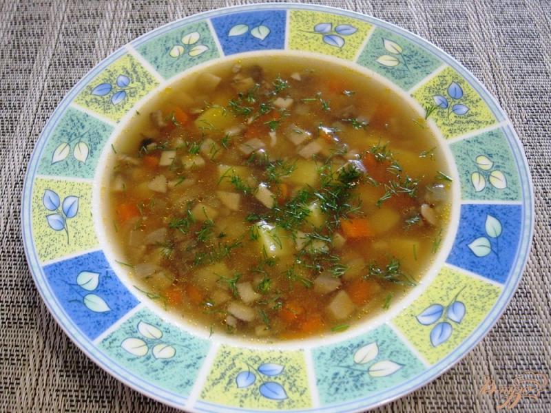 Фото приготовление рецепта: Суп с помидорами и грибами шаг №11
