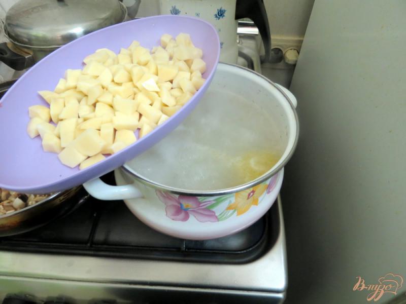 Фото приготовление рецепта: Суп овощной со свежей капустой и грибами шаг №3
