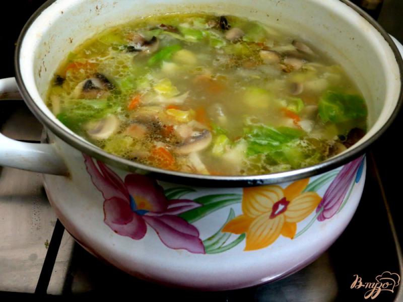 Фото приготовление рецепта: Суп овощной со свежей капустой и грибами шаг №8