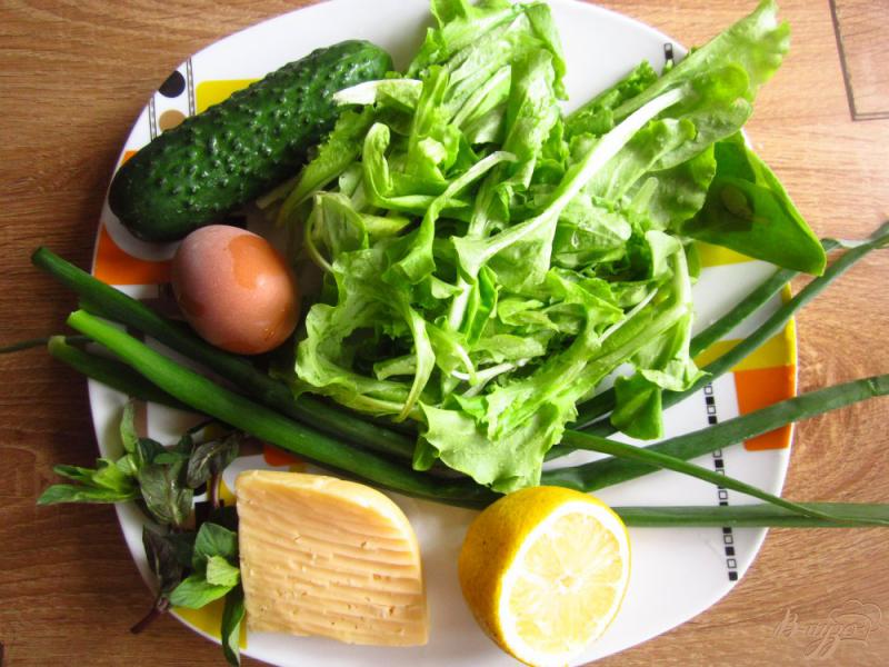 Фото приготовление рецепта: Салат с сыром и зеленью с мятно-лимонной заправкой шаг №1