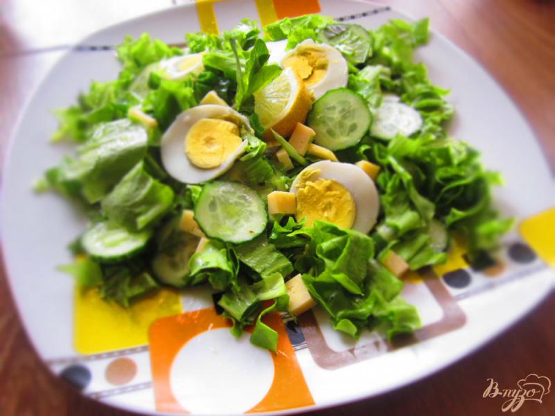 Фото приготовление рецепта: Салат с сыром и зеленью с мятно-лимонной заправкой шаг №8