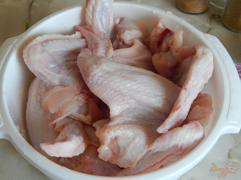 Фото приготовление рецепта: Куриные крылышки в маринаде шаг №1