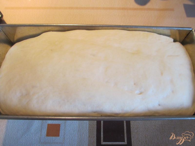 Фото приготовление рецепта: Домашний хлеб в духовке шаг №8