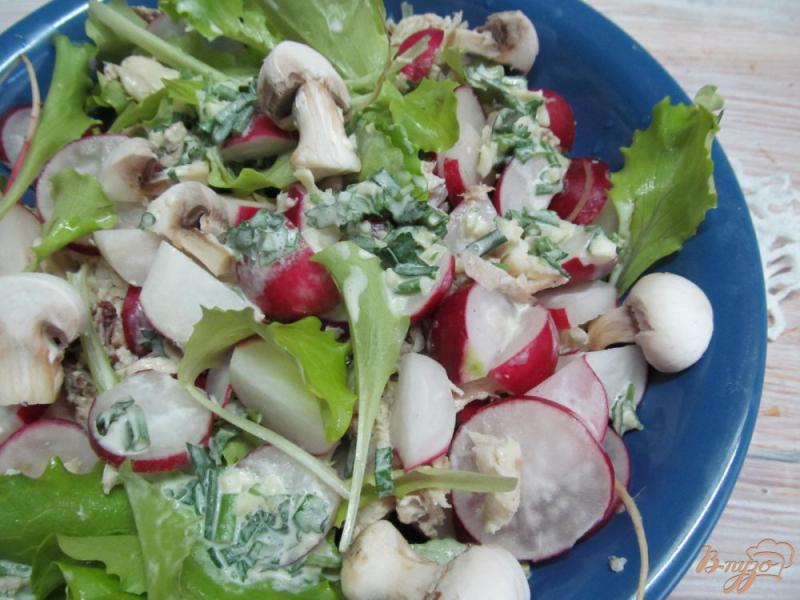 Фото приготовление рецепта: Салат из редиса и курицы шаг №9
