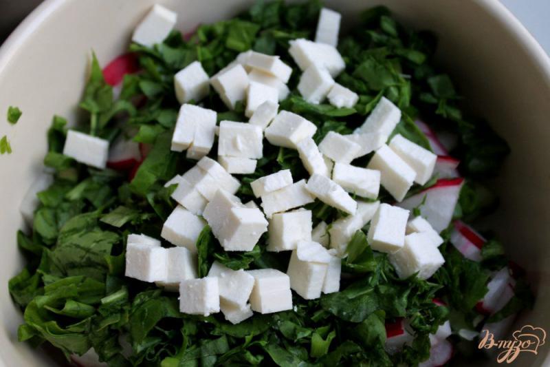 Фото приготовление рецепта: Салат с редисом огурцом и брынзой шаг №4