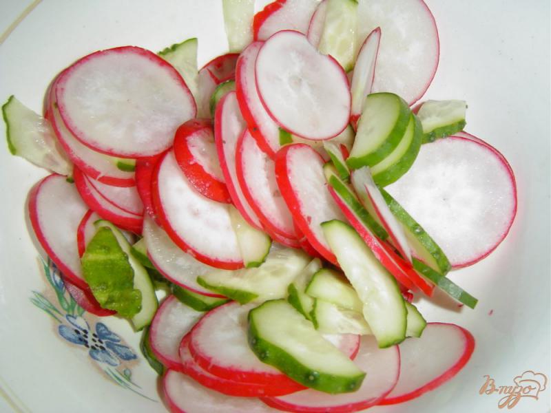Фото приготовление рецепта: Весенний салат из редиса, огурца и зелени шаг №4