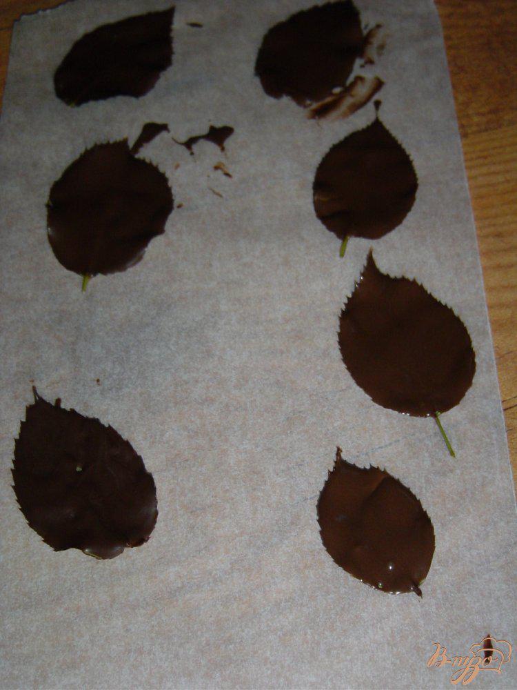 Фото приготовление рецепта: Шоколадные листья шаг №3