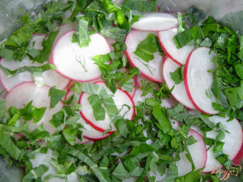 Фото приготовление рецепта: Салат из редиса, мяты и зелени шаг №4