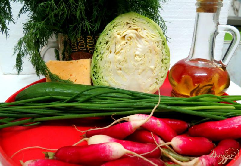Фото приготовление рецепта: Салат из редиса с капустой. шаг №1