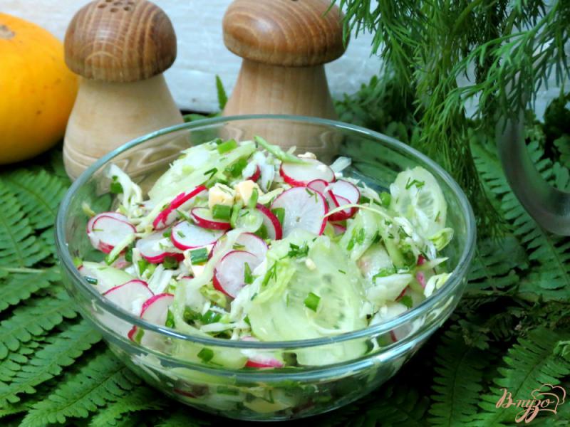 Фото приготовление рецепта: Салат из редиса с капустой. шаг №10