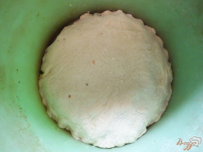 Фото приготовление рецепта: Пирог с яйцом и зеленью шаг №8