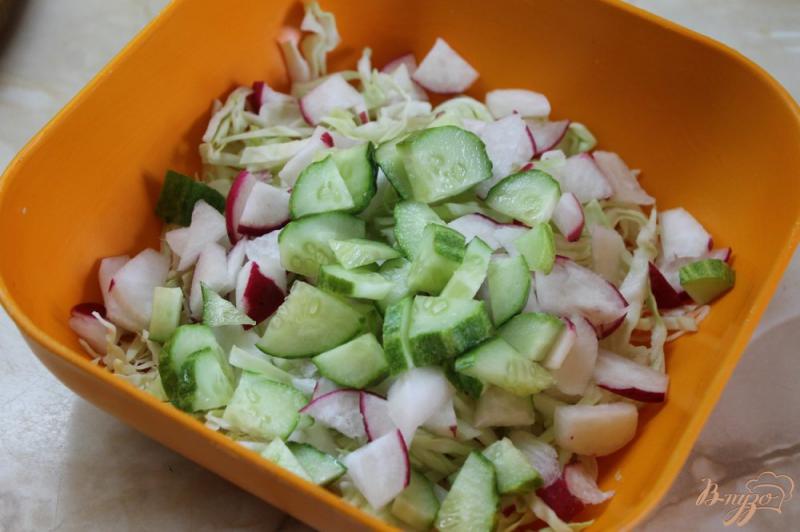 Фото приготовление рецепта: Салат с молодой капусты с огурцом и редисом шаг №3
