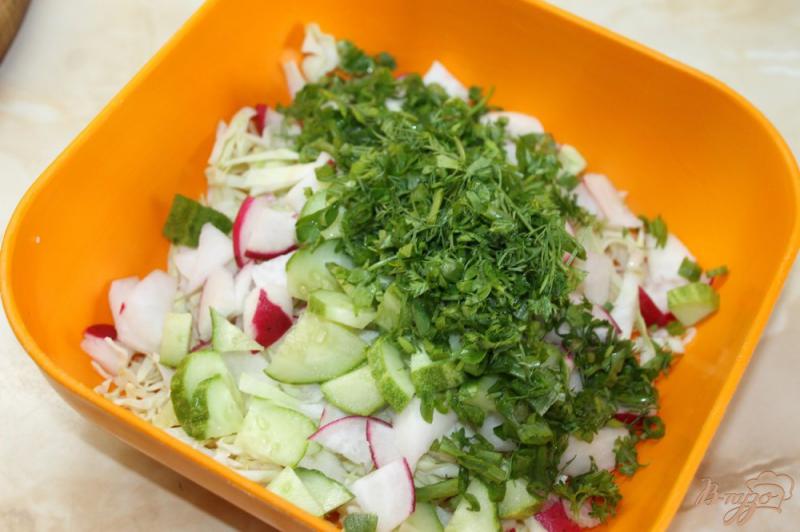 Фото приготовление рецепта: Салат с молодой капусты с огурцом и редисом шаг №4