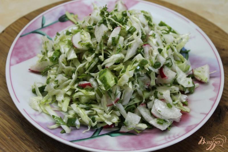 Фото приготовление рецепта: Салат с молодой капусты с огурцом и редисом шаг №5