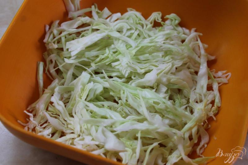 Фото приготовление рецепта: Салат с молодой капусты с огурцом и редисом шаг №2