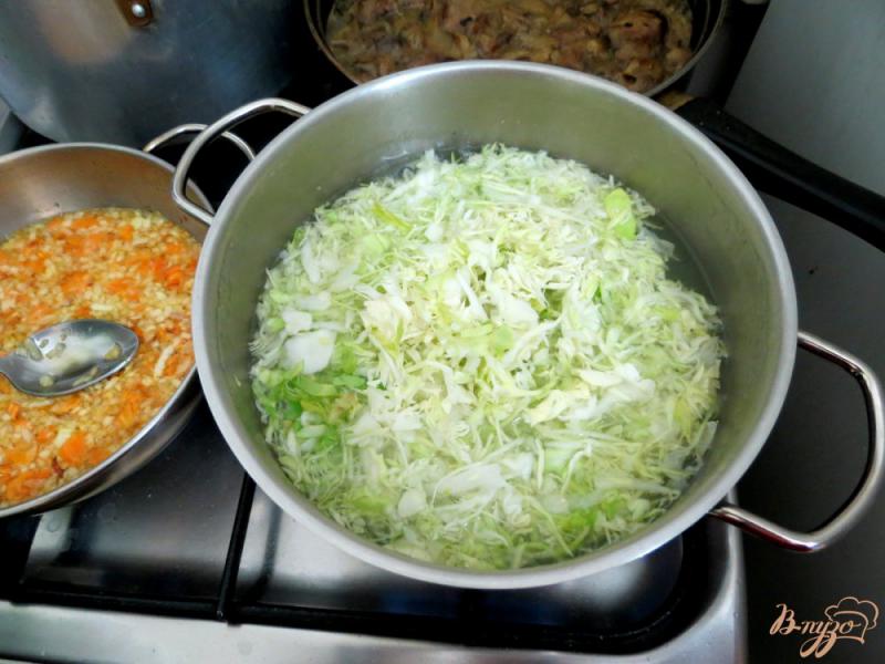 Фото приготовление рецепта: Суп из сёмги, капусты и белого вина шаг №9